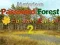 Játék Mysterious Password Forest Autumn Edition 2 online