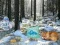 Játék Winter Wonderland Forest Adventure online