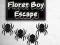 Játék Floret Boy Escape online
