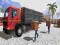 Játék Asian offroad cargo truck driver online