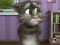 Játék Talking Tom Cat 2 online