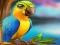 Játék Little Parrot Escape online