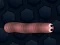 Játék Math Slither online