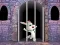 Játék Victory Rabbit Escape online
