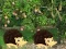 Játék Escape From Mango Farm online