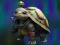 Játék Isolated Turtle Escape online