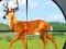 Játék Wild Hunt Hunting Games 3D online