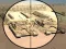 Játék Camo Sniper online
