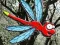 Játék Escape From Dragonfly Forest online