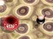 Játék Bouncing Blob online