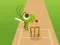 Játék Doodle Cricket online