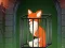 Játék Fox in the Forgotten Ruins online