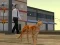 Játék Cat City Simulator online