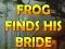 Játék Frog Finds His Bride online