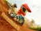Játék Motocross online