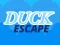 Játék Duck Escape online