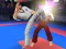 Játék Karate Fighter online