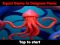 Játék Squid Game In Dalgona Panic online