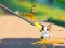 Játék Cat Challenge online
