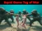 Játék Squid Game Tug Of War online