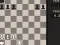 Játék Fun Chess Puzzles! online