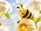 Játék Find The Differences: Little Bee's Adventure online