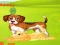 Játék Bunny Key Quest online