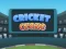 Játék Cricket Craze online