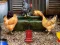 Játék Poultry Farm Easter Escape online