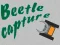 Játék Beetle Capture online