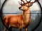 Játék Animal Safari Hunter 2020 online