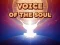 Játék Voice Of The Soul online
