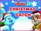 Játék Nick Jr. Christmas Catch online