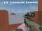 Játék CS: Command Snipers online