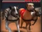 Játék Greyhound Racing online