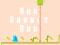 Játék Run Rabbit Run online