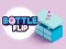 Játék Bottle Flip online