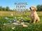 Játék Playful Puppy Outdoor Puzzle online