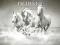 Játék Horses Puzzle online