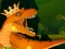Játék The Dino King online