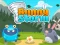 Játék Bunny Storm online