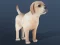 Játék IDLE Pet online