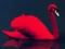 Játék Love Birds Puzzle online