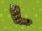 Játék Zombie Worms online