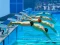 Játék Swimming Pool Race online