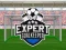 Játék Expert Goalkeeper online