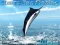 Játék Azure Sea Fishing online