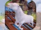 Játék Angry Goat Wild Animal Rampage online