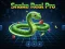 Játék Snake Real Pro online