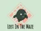 Játék Lost In The Maze online